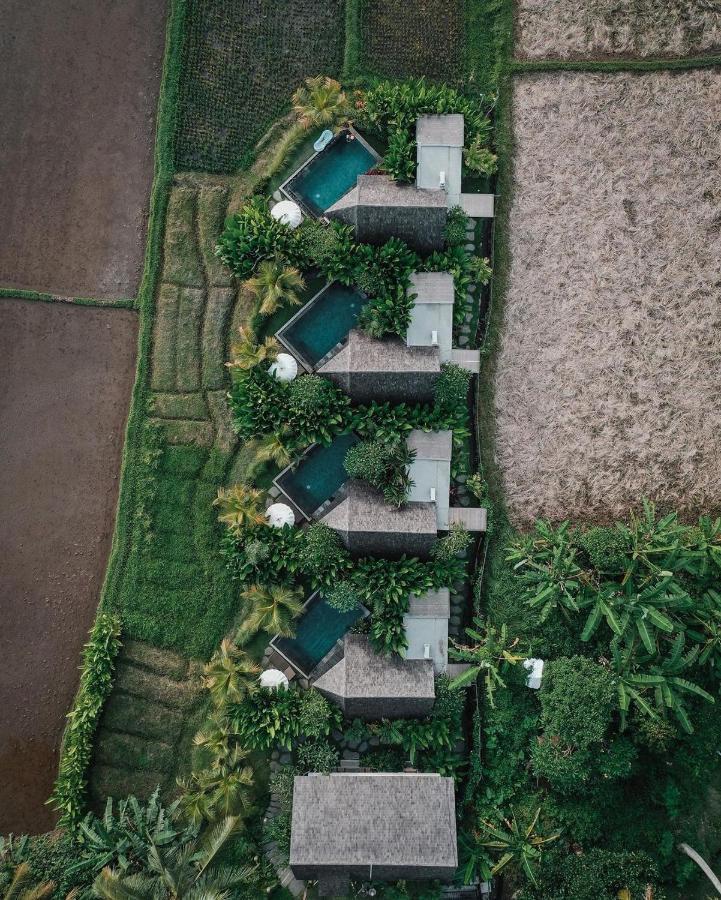 Lasamana Villas Ubud By Pramana Villas Dış mekan fotoğraf