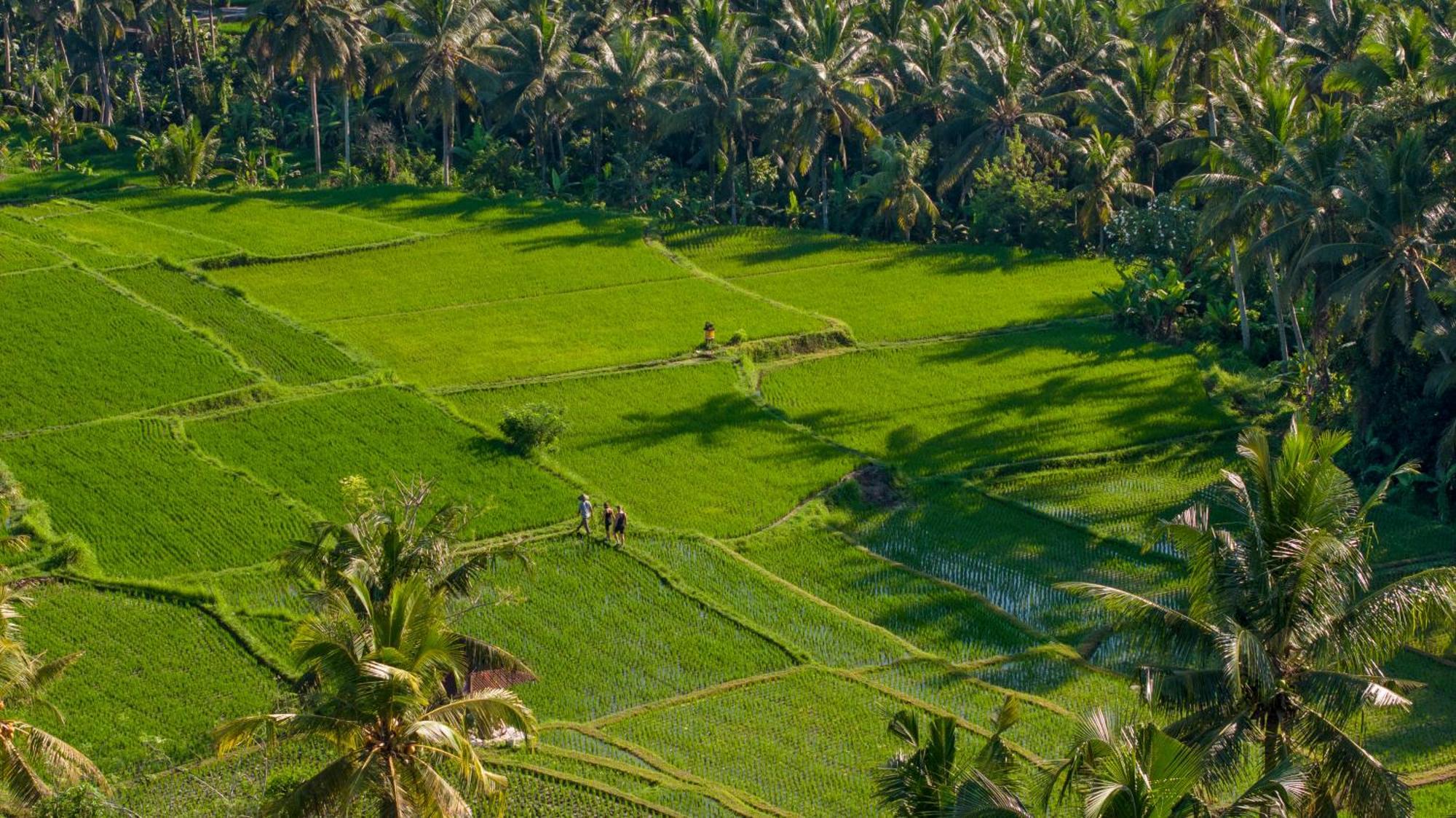 Lasamana Villas Ubud By Pramana Villas Dış mekan fotoğraf