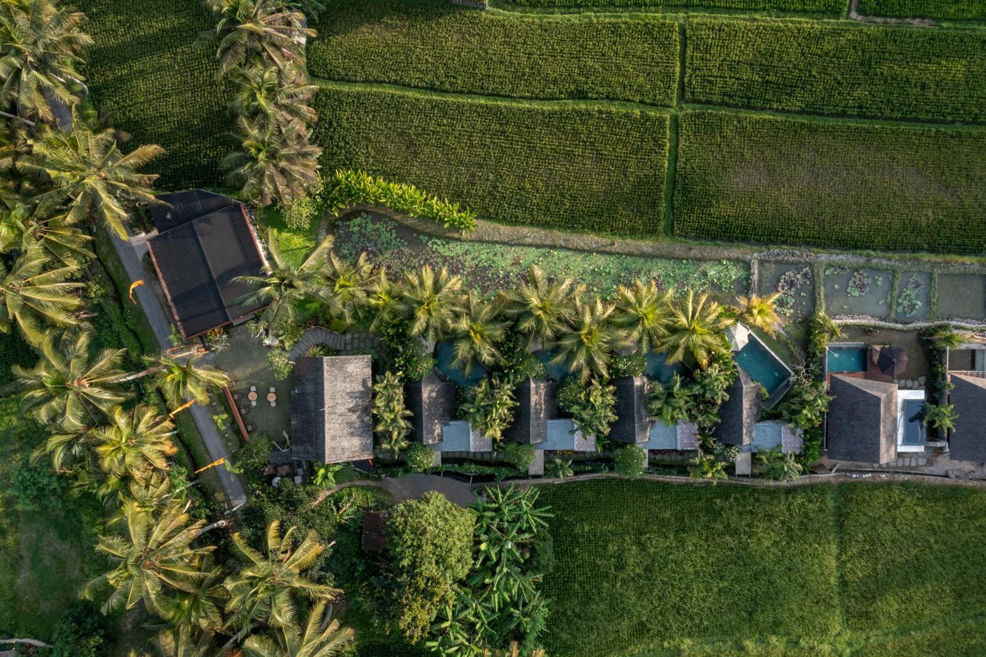 Lasamana Villas Ubud By Pramana Villas Dış mekan fotoğraf